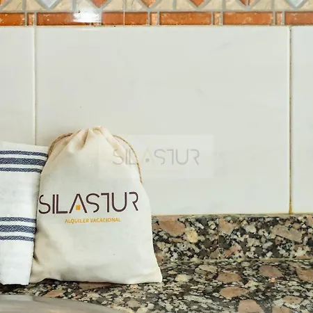 Felguera Apartamento Appartement